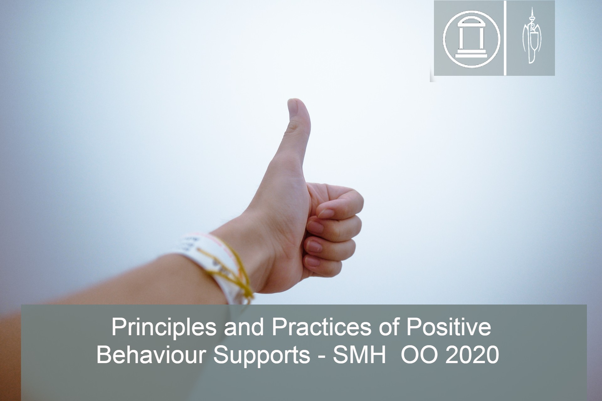 Principles and Practices of Positive Behaviour Supports - SMH  OO 2020 - Optional for Current Staff