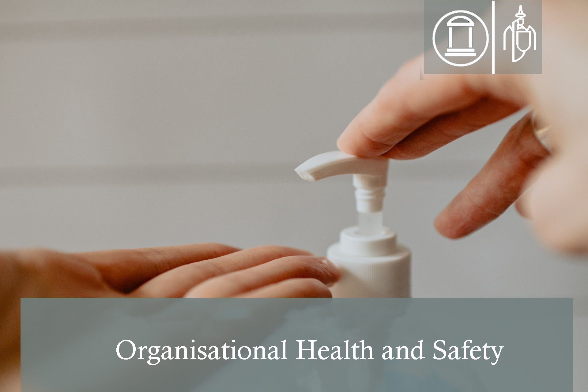 Organisational Health and Safety - Pilot