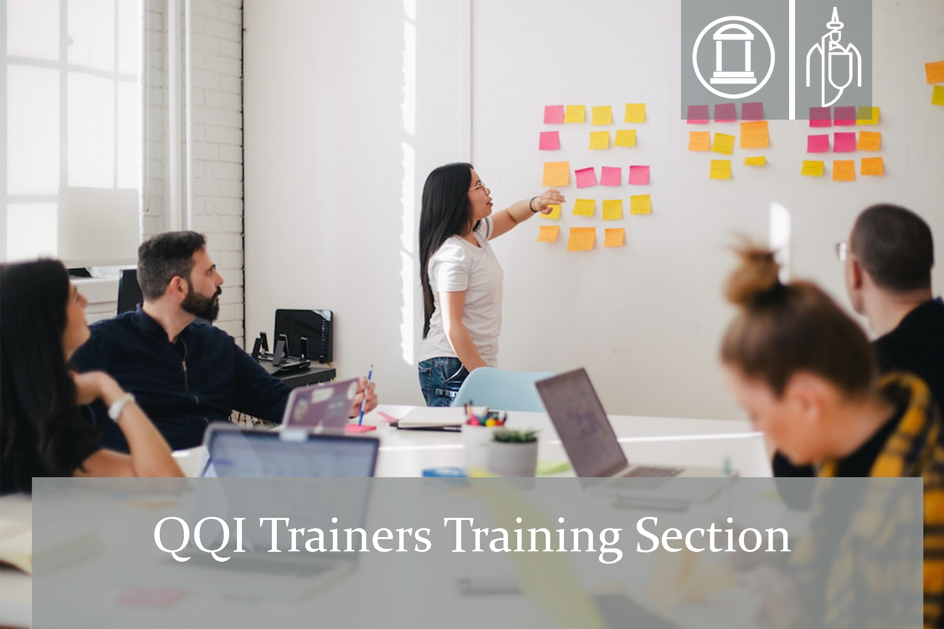 QQI Trainers Training Section (in development)
